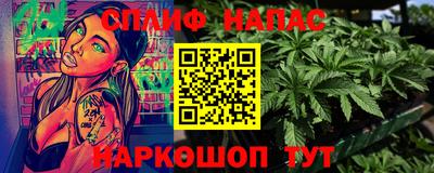 шишки Изобильный