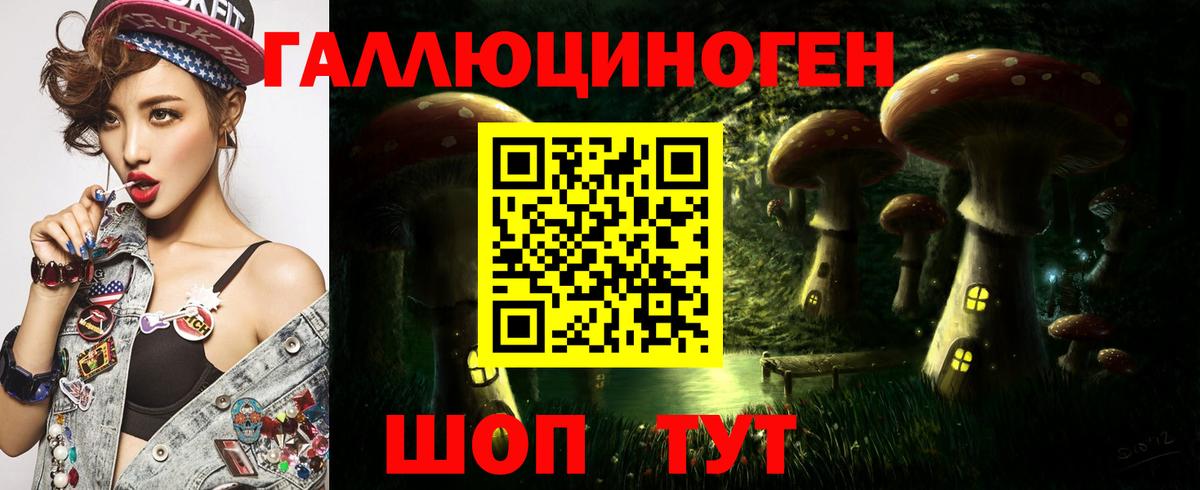 магазин продажи наркотиков  Псилоцибиновые грибы GOLDEN TEACHER  Вход с VPN  Бутурлиновка 